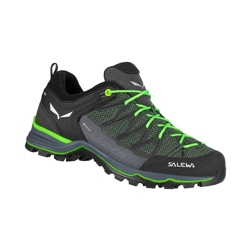 Ботинки Salewa Alpine Trekking MS MTN TRAINER LITE GTX Myrtle/Ombre Blue
