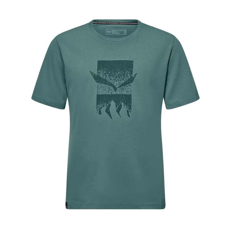 Футболка мужская Salewa EAGLE 3CIME M T-SHIRT Willow