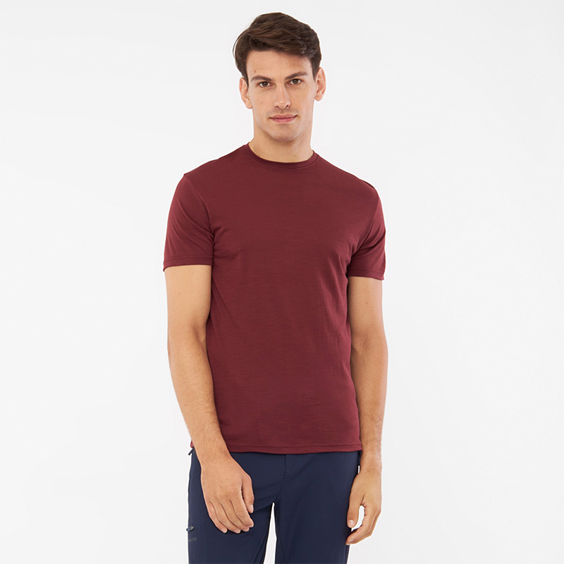 Футболка мужская VIKING SALEN M T-SHIRT Claret Merino
