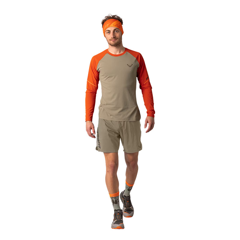 Футболка мужская с длинным рукавом Dynafit ALPINE PRO M L/S TEE alabama/polygiene