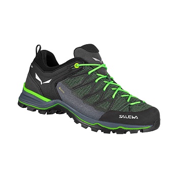 Ботинки Salewa Alpine Trekking MS MTN TRAINER LITE GTX Myrtle/Ombre Blue