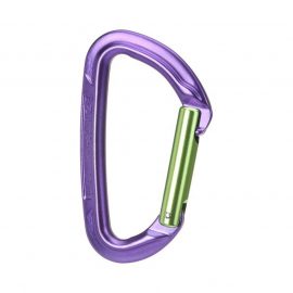 WILD COUNTRY SESSION STRAIGHT GATE CARABINER purple green