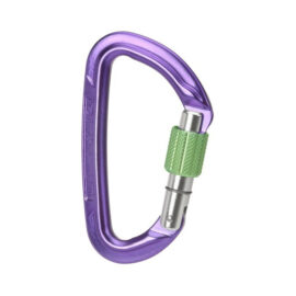 КАРАБИН WILD COUNTRY SESSION SCREW GATE CARABINER Purple / Green