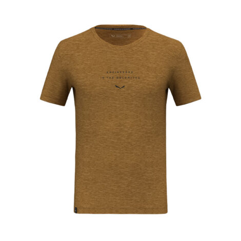 ФУТБОЛКА МУЖСКАЯ SALEWA EAGLE EITD AM M T-SHIRT Golden brown