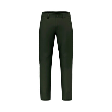 ШТАНЫ МУЖСКИЕ SALEWA FANES M PANTS Dark olive