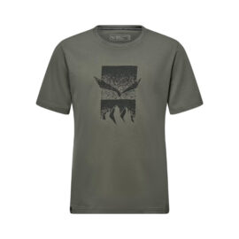 ФУТБОЛКА МУЖСКАЯ SALEWA EAGLE 3CIME M T-SHIRT Faded green