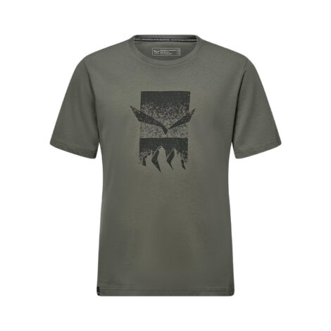 ФУТБОЛКА МУЖСКАЯ SALEWA EAGLE 3CIME M T-SHIRT Faded green