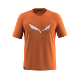 ФУТБОЛКА МУЖСКАЯ SALEWA SOLIDLOGO DRY M T-SHIRT Burnt orange