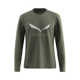 ФУТБОЛКА МУЖСКАЯ SALEWA SOLIDLOGO DRY M L/S TEE Faded green